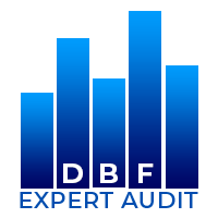 DBF Expert Audit